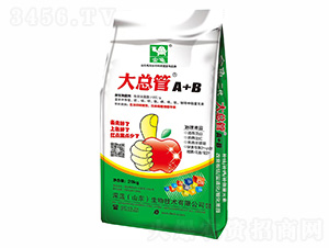 ΢�������-�󿂹�-����-���{����