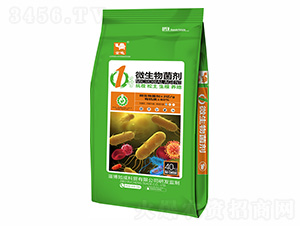 1̖΢�������-����-���{(l��n)����