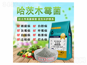 ����ľù��΢�������-������