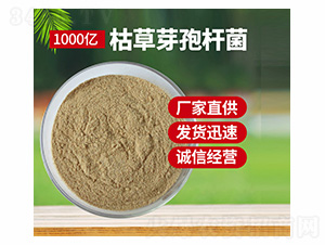 �ݲ�ѿ�ߗU��ԭ��-������