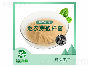 ����ѿ�ߗU��ԭ��-������