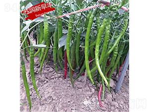 �K�������S-�����N��-�K���N�I(y��)