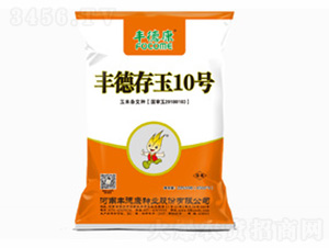 �S�´���10̖(h��o)-22500��-�S�¿�