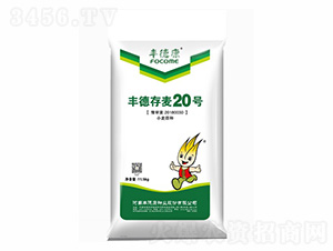 �S�´���20̖(h��o)-�S�¿�