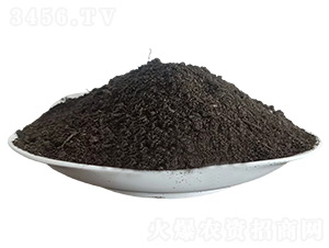 �l(f��)����S-�ּѷʘI(y��)