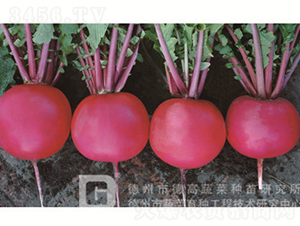 �tƤ�}��-�t��1̖(h��o)-�}���N��-�¸߷N�I(y��)