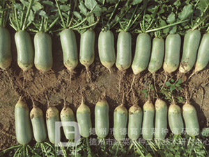 ˮ���}��-����-�}���N��-�¸߷N�I(y��)