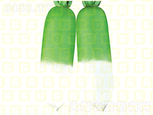 �����}��-�¸ߴ�����-�}���N��-�¸߷N�I(y��)