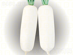 ���}��-�¸߇�(gu��)��-�}���N��-�¸߷N�I(y��)