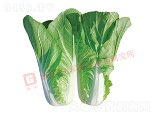 �~ɫ�Gɫ���-�¸����(y��ng)-��˷N��-�¸߷N�I(y��)