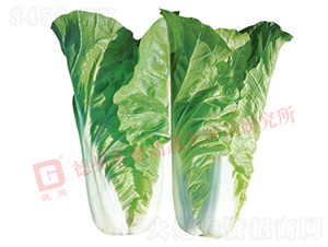 �~ɫ�Gɫ���-�¸߾G�(y��ng)-��˷N��-�¸߷N�I(y��)