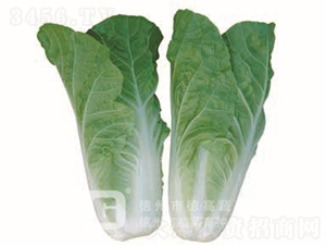 �~ɫ�S�G���-CR188-��˷N��-�¸߷N�I(y��)