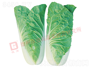 �~ɫ�Gɫ���-���6̖(h��o)-��˷N��-�¸߷N�I(y��)