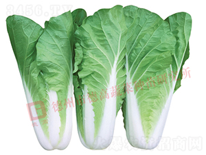 �~ɫ�S�G���-���9̖(h��o)-��˷N��-�¸߷N�I(y��)