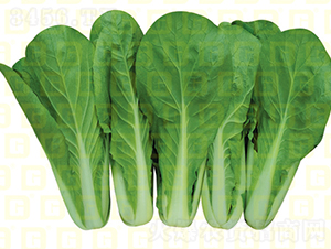 �~ɫ�^�G���-�¸��G�(y��ng)-��˷N��-�¸߷N�I(y��)