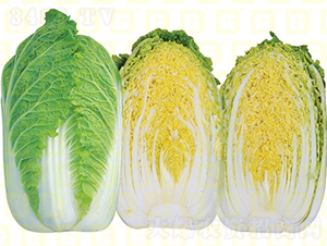 �¸ߵ��ጚ1̖(h��o)-���޲˷N��-�¸߷N�I(y��)