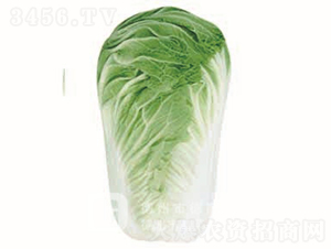 �＾�ײ�-�¸�8̖-��ײ˷N��-�¸߷N�I(y��)