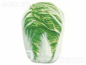 �＾�ײ�-�¸�1̖-��ײ˷N��-�¸߷N�I(y��)