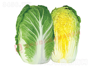 �����ͳ�޷�ײ�-17L723-��ײ˷N��-�¸߷N�I(y��)