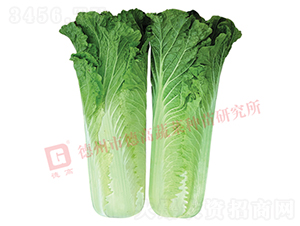 �����[���ײ�-CR359-��ײ˷N��-�¸߷N�I(y��)