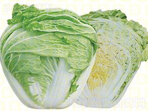 ������ײ�-�¸�VRС��-��ײ˷N��-�¸߷N�I(y��)