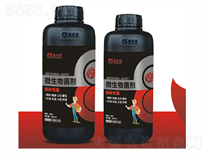 ΢�������-���[����-���S��