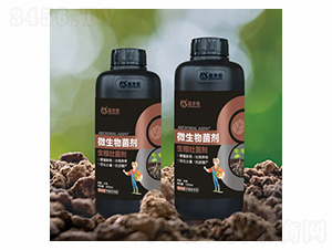 ΢�������-�������焩-���S��