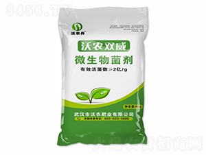 ΢�������-���r(n��ng)�p��-���r(n��ng)�ʘI(y��)