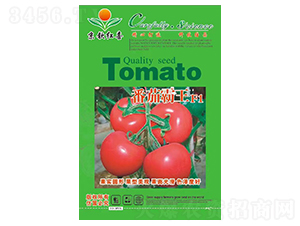 ���Ѱ���F1-���t���N��-���J�tϲ