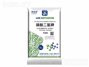 ��������-�P�Z��-�Z�V��