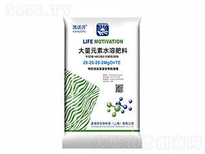 ����Ԫ��ˮ�ܷ���20-20-20-2MgO+TE-�P�Z��-�Z�V��