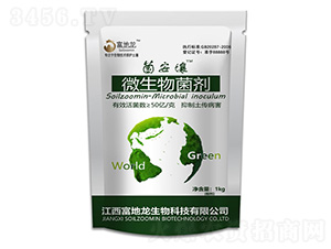 ������΢�������-������