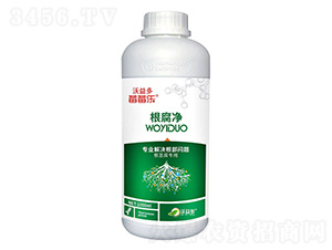 ������-ݮݮ��-�����