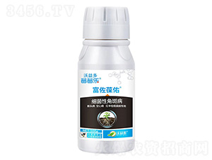 100�˼����Խǰ߲�-��������-ݮݮ��-�����