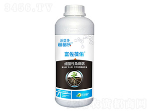 �����Խǰ߲�-��������-ݮݮ��-�����