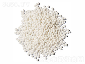 �A�w�����-ïʩ����