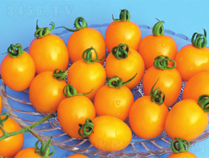 ����-���ѷN��-����