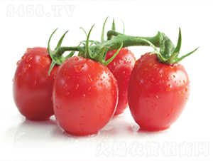 ��ӯ-���ѷN��-����