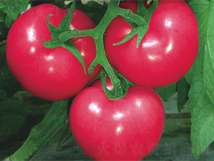 ��¶���ѷN��-����