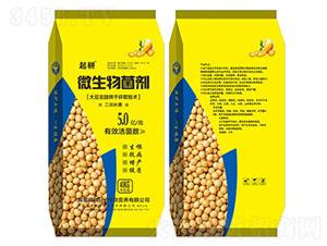 ΢�������-���-���׸�