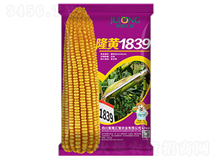 ¡�S1839-���׷N��-��¡�R��