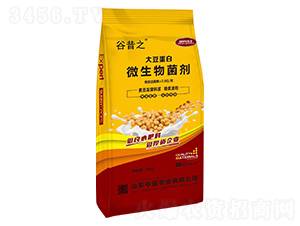 �󶹵���΢�������-����֮-���{(l��n)�r(n��ng)�I(y��)