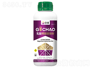 �����}�V���F�\-�ȳ�-�ӹ���