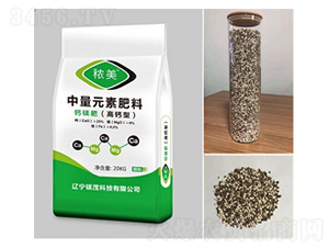 ���}���}�V������Ԫ�ط���-����-�Vï�Ƽ�