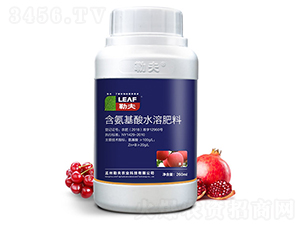 �����~���-�շ�