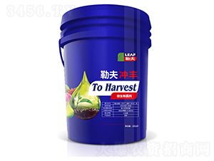 �շ�_�S�{(l��n)Ͱ��-�շ�