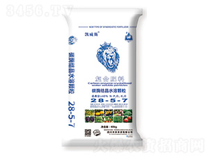 ̼ø�Y(ji��)��ˮ�܏�(f��)�Ϸ���28-5-7-�P��˹-���r(n��ng)�r(n��ng)�Y