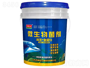 ����+�~����΢�������-��΢��-������