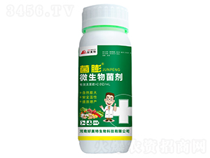 ΢�������-����-������