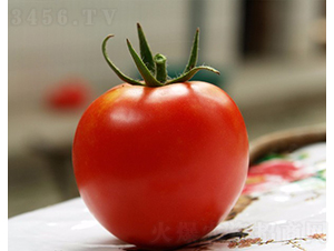 CNUS091F1-�������L���ѷN��-�A���N��